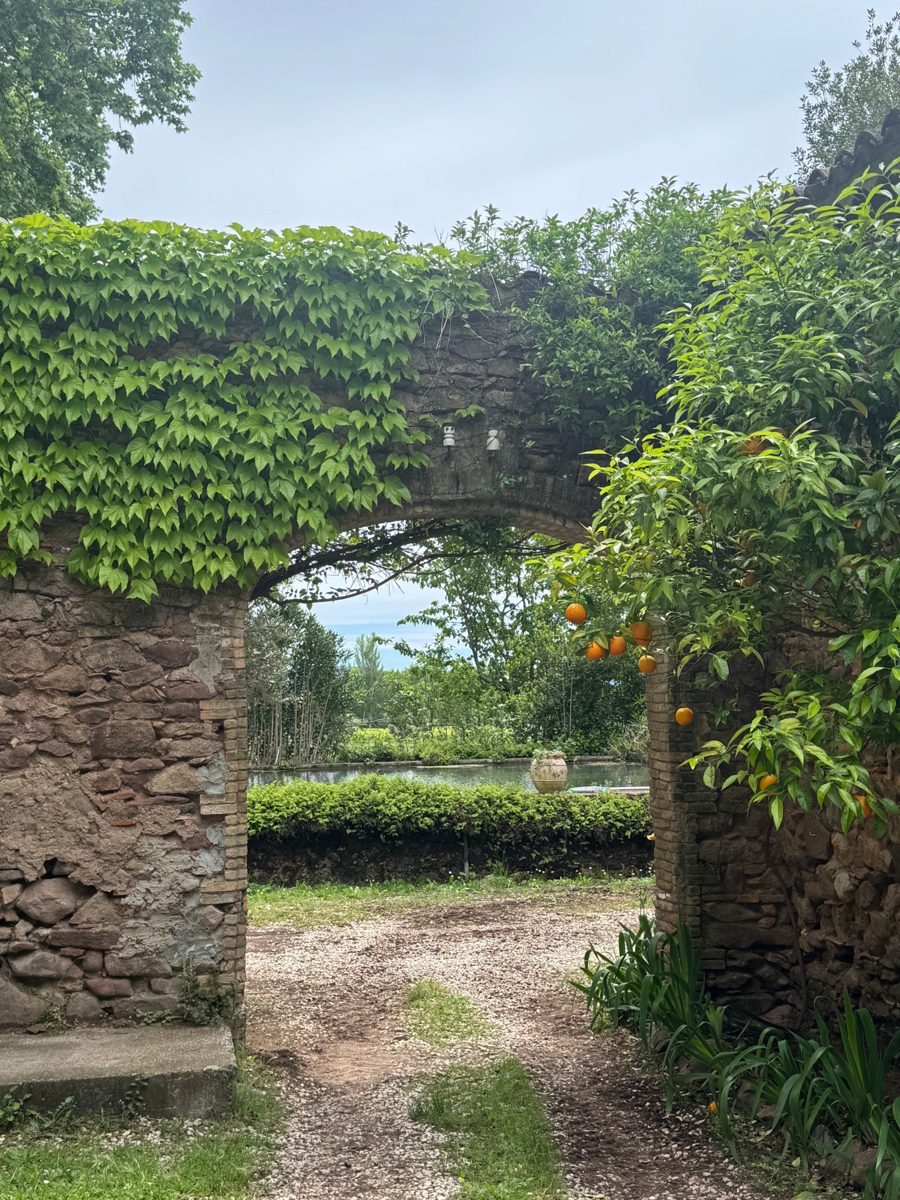 Arche en pierre couverte de vigne vierge et oranger, ouvrant sur le bassin du domaine de La Sauveuse